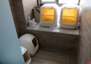 网红猫房,揭秘猫咪的奢华生活圈